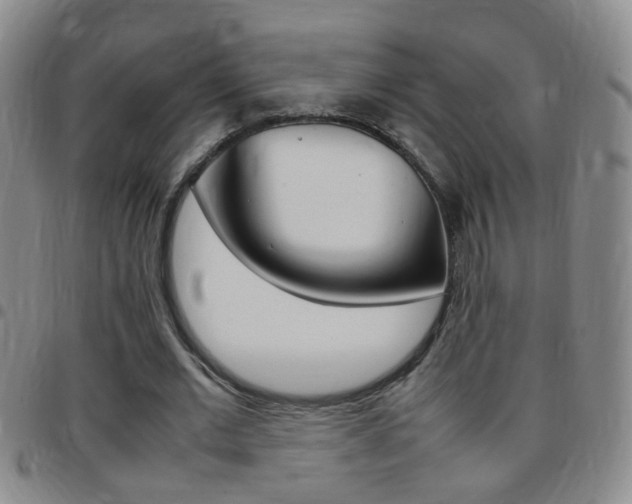 X0000097820677200803140806