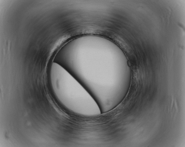 X0000097820678200803140806