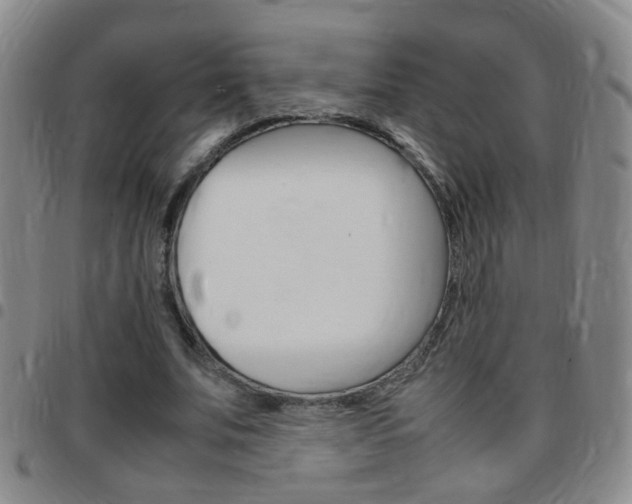 X0000097820679200803140806