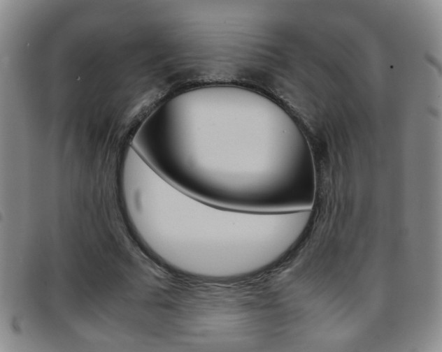 X0000097820681200803140806