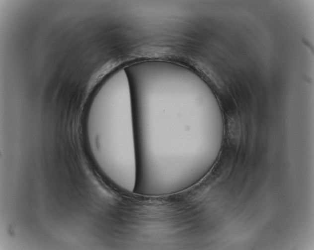 X0000097820682200803140806