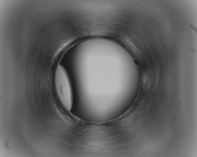 X0000097820684200803140806