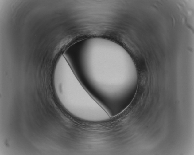 X0000097820685200803140806