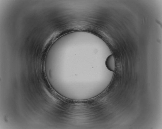 X0000097820686200803140806