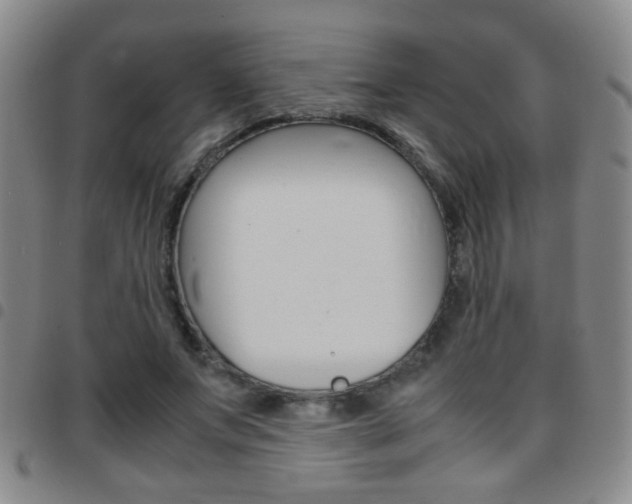 X0000097820687200803140806