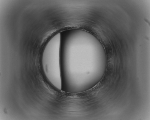 X0000097820688200803140806