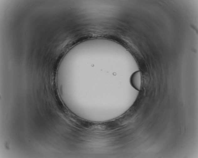 X0000097820691200803140806