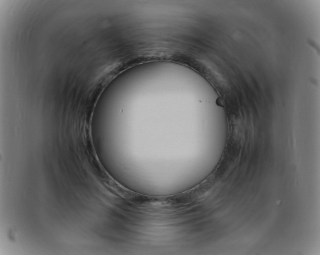 X0000097820692200803140806