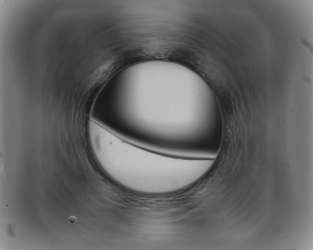 X0000097820693200803140806