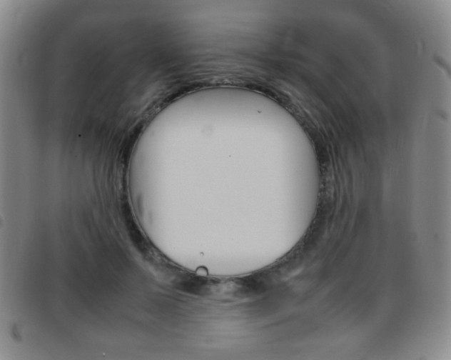 X0000097820695200803140806