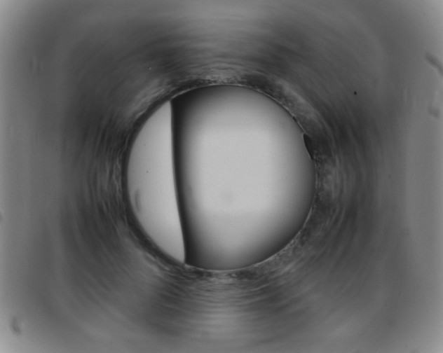 X0000097820696200803140806