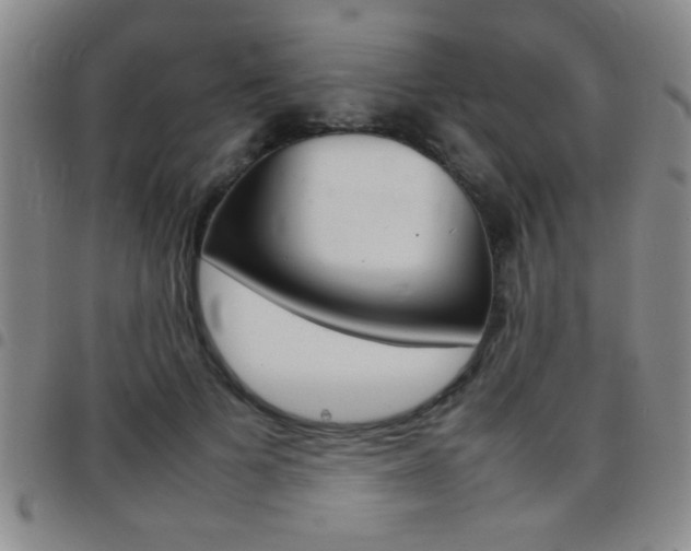 X0000097820697200803140806