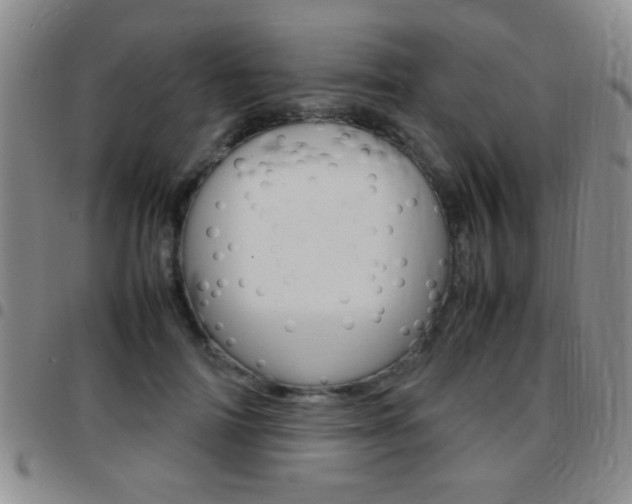 X0000097820698200803140806