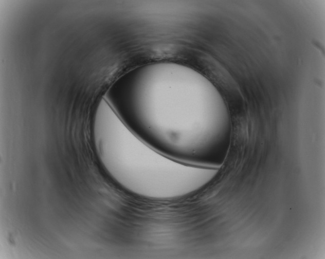 X0000097820700200803140806