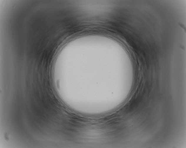 X0000097820701200803140806