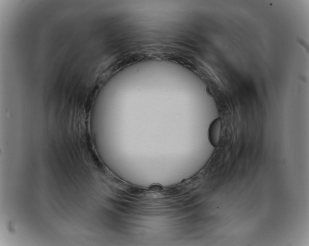 X0000097820702200803140806