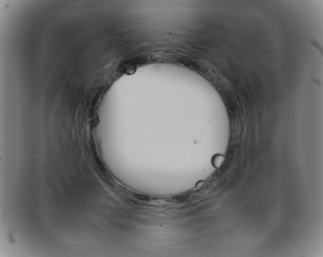 X0000097820703200803140806