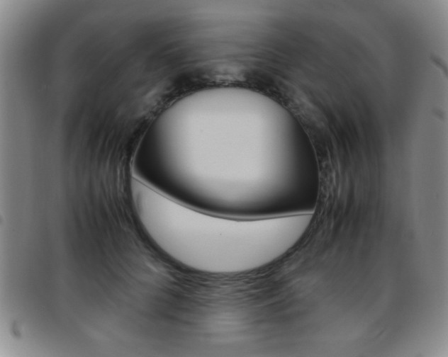 X0000097820704200803140806