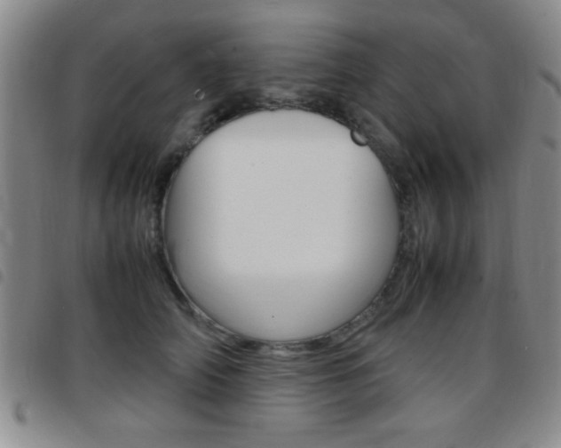 X0000097820706200803140806
