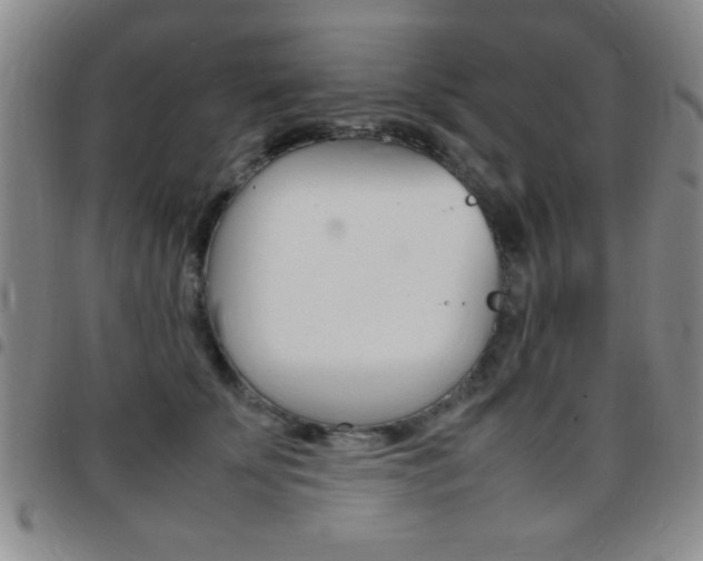 X0000097820707200803140806