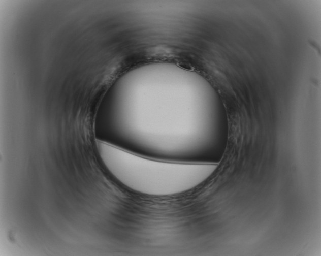 X0000097820708200803140806