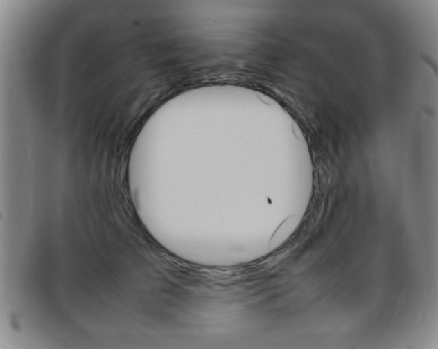 X0000097820709200803140806
