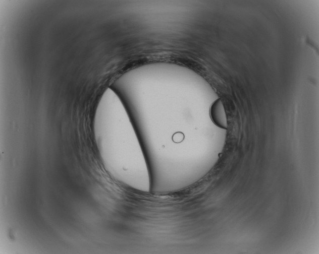 X0000097820711200803140806