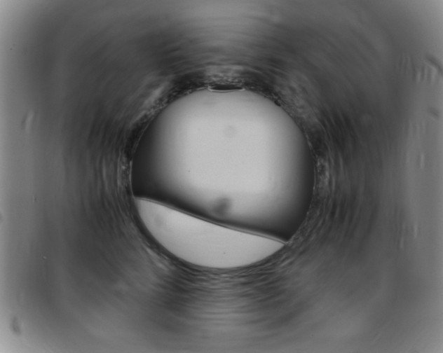 X0000097820712200803140806