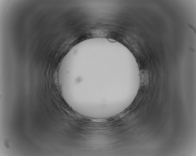 X0000097820713200803140806