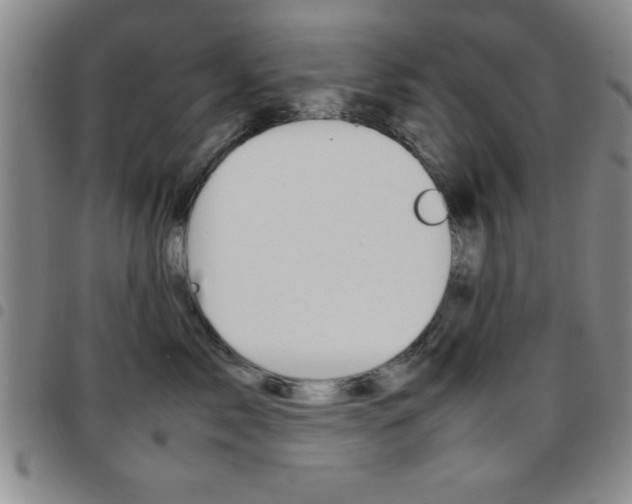 X0000097820717200803140806