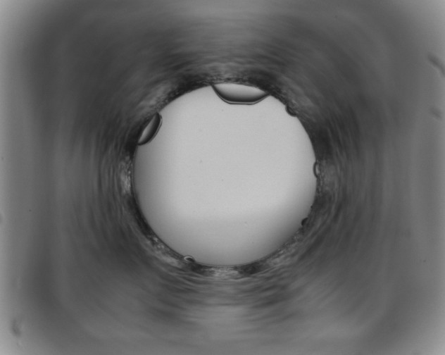 X0000097820719200803140806