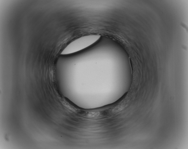 X0000097820720200803140806