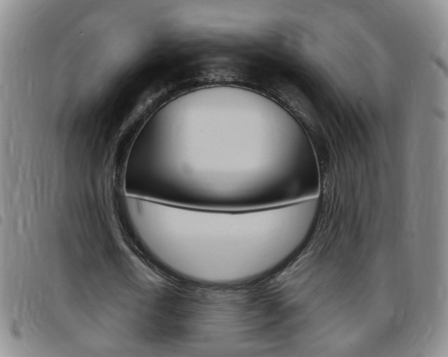 X0000097820722200803140805