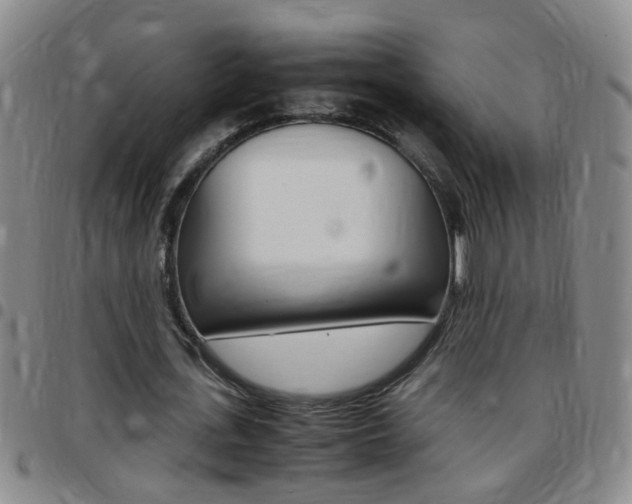 X0000097820723200803140805