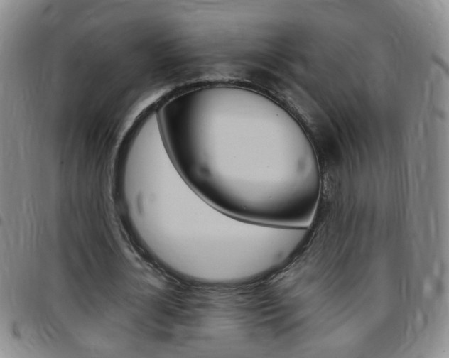 X0000097820724200803140805