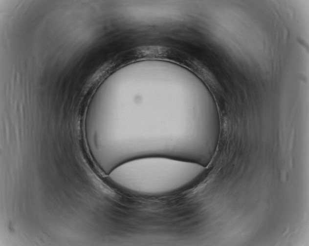 X0000097820725200803140805