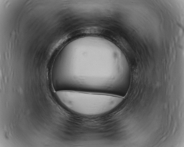 X0000097820727200803140805
