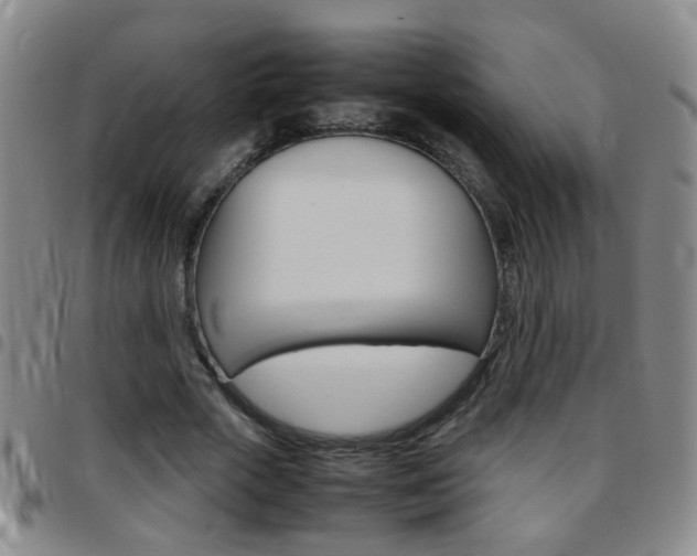 X0000097820729200803140805