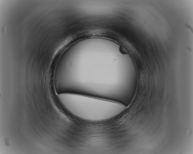 X0000097820730200803140805