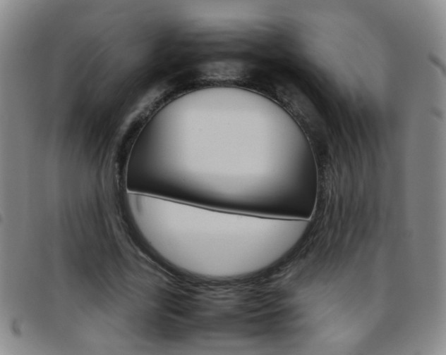 X0000097820731200803140805