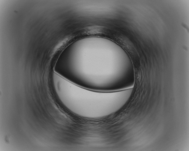 X0000097820732200803140805
