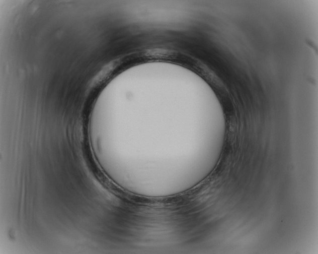 X0000097820734200803140805