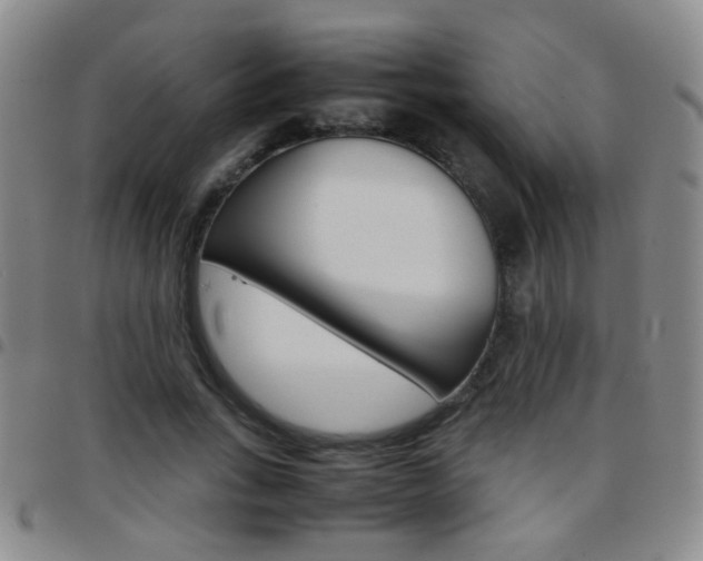 X0000097820735200803140805