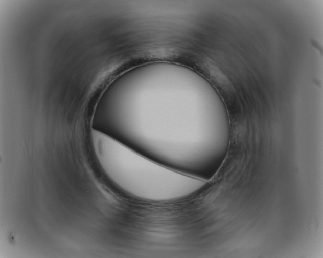 X0000097820736200803140805