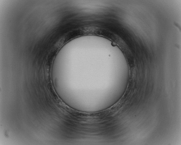 X0000097820737200803140805