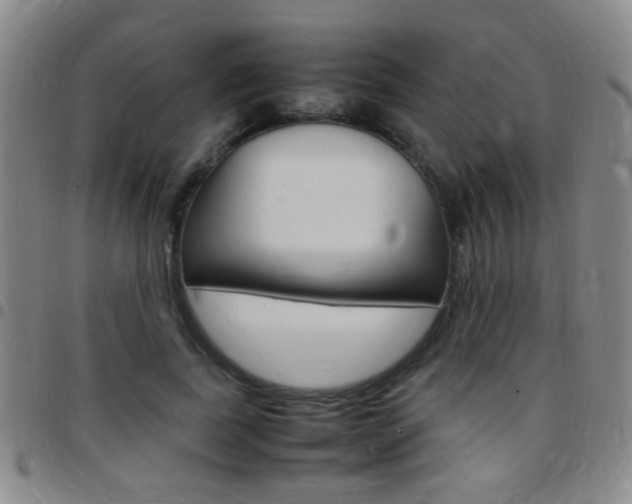 X0000097820739200803140805