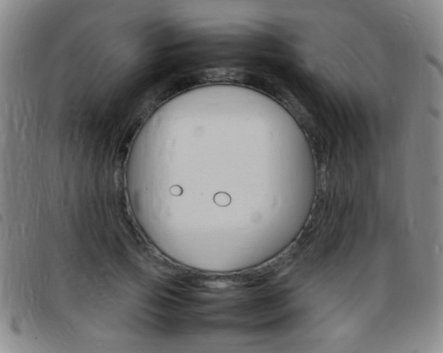 X0000097820741200803140805