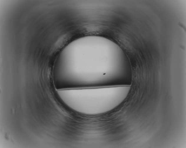 X0000097820742200803140805