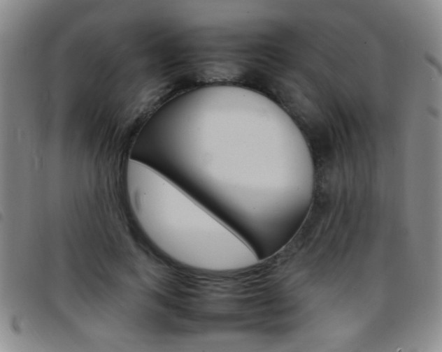 X0000097820743200803140805