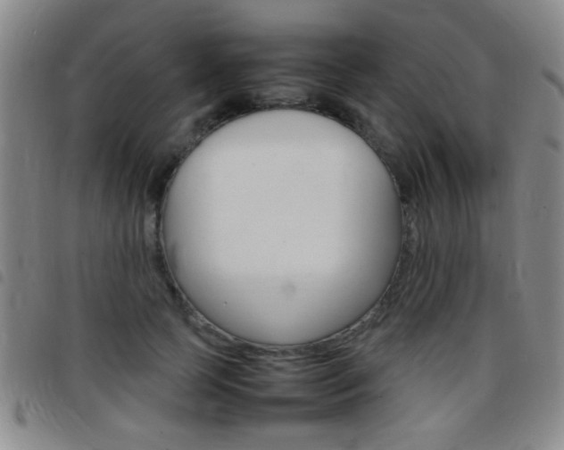 X0000097820745200803140805